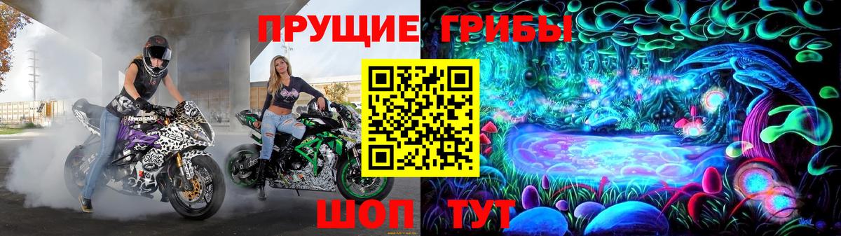 Сафоново  Галлюциногенные грибы Psilocybine cubensis  Вход с VPN  Галлюциногенные грибы Psilocybe 